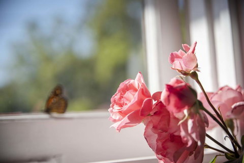 Dwellingup Retreat - Accommodation Port Hedland 3