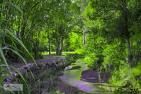 Book Esk Accommodation Vacations Accommodation Port Hedland Accommodation Port Hedland