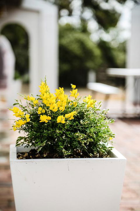 Esperance Coastal Retreat - Accommodation Port Hedland 3