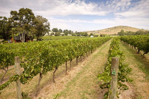 Fergusson Winery Homestead Accomodation - Accommodation Port Hedland 1
