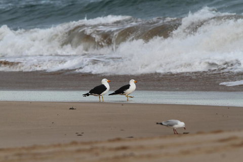 GALWAY COTTAGE - Accommodation Port Hedland 1