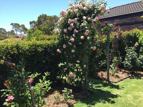 Garden Apartment - Accommodation Port Hedland 3
