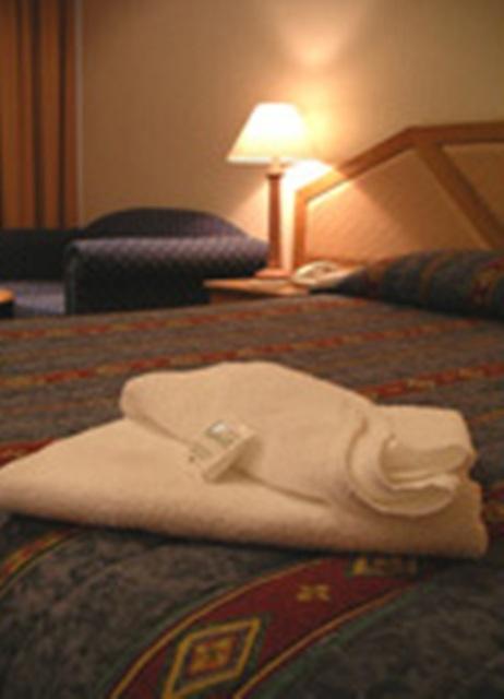 Goulburn Central Motor Lodge - Accommodation Port Hedland 3