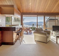 Grey Kangaroo- On Lake Jindabyne foreshore - Accommodation Port Hedland