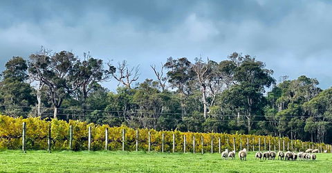 Harmony Forest Cottages & Lake Side Lodge - Accommodation Port Hedland 1