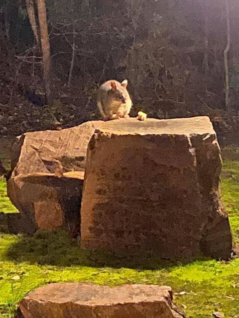Harmony Forest Cottages & Lake Side Lodge - Accommodation Port Hedland 3