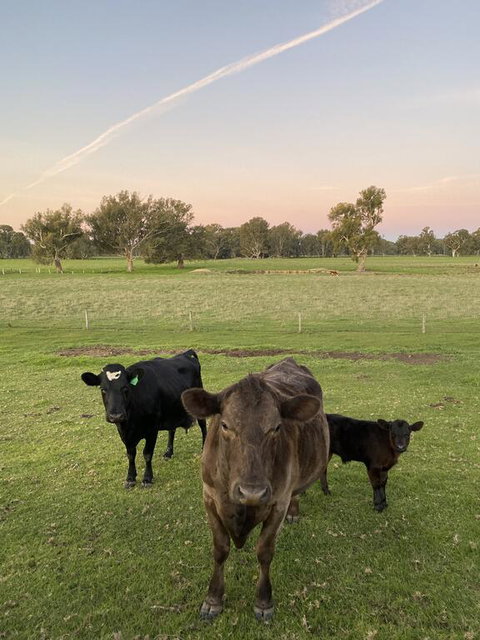 Holly House BnB - Accommodation Port Hedland 1