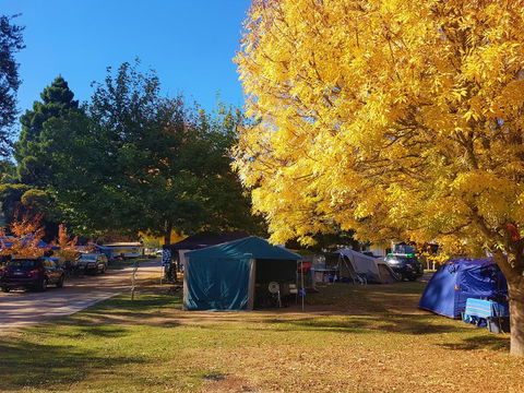 Jamieson Caravan Park - Accommodation Port Hedland 2