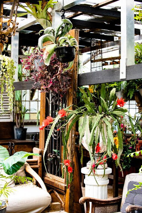 Jaspers Apartments - Accommodation Port Hedland 3