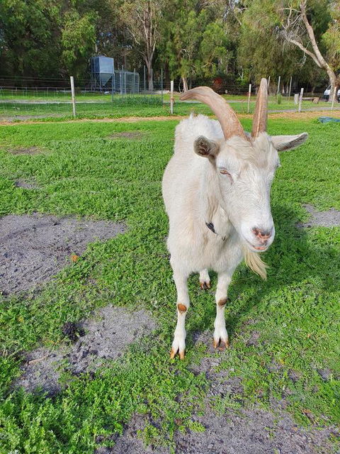 Kerriley Park FarmStay - Accommodation Port Hedland 2
