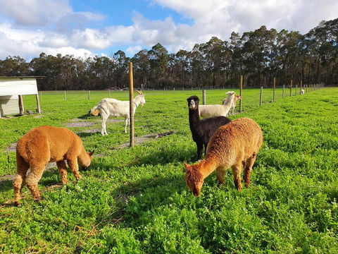 Kerriley Park FarmStay - Accommodation Port Hedland 3