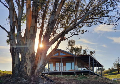Kestrel Nest EcoHut - Accommodation Port Hedland 0