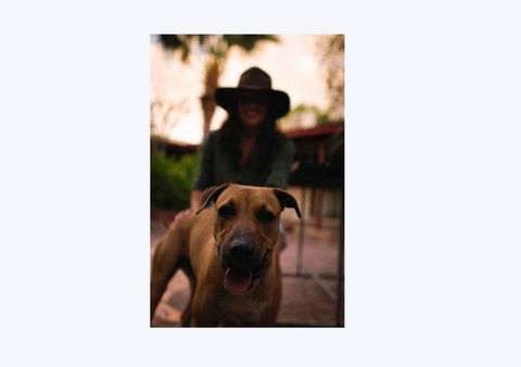 Kimberley Croc Motel - Accommodation Port Hedland 1