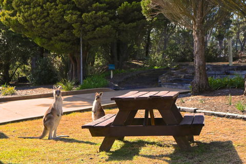Leura Lodge At Mt Victoria - Accommodation Port Hedland 2