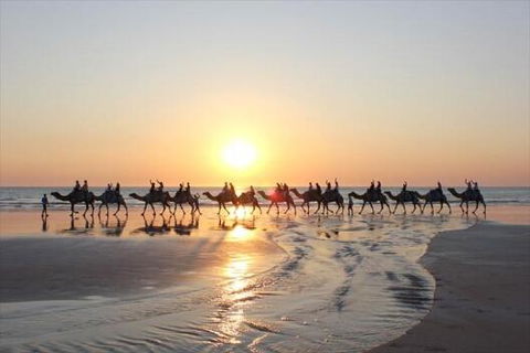 Luxury Executive Apartment At Broome Cable Beach - Accommodation Port Hedland 1