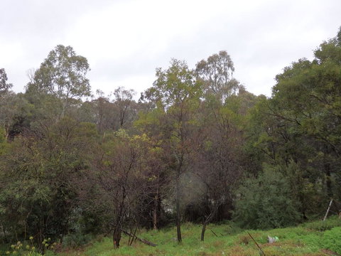 Mandall Avenue - Accommodation Port Hedland 2