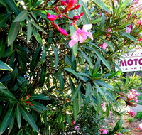 Mercury motor inn - Accommodation Port Hedland