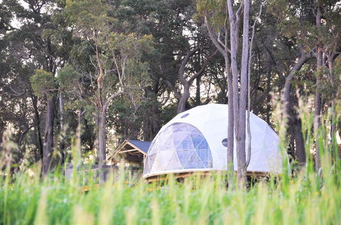 Mile End Glamping Pty Ltd - Accommodation Port Hedland 2
