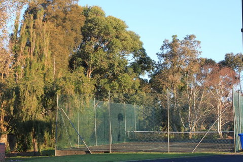 Mt Gambier International - Accommodation Port Hedland 2