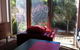 Mt Lawley Garden Apartment - thumb 3