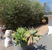 Mt.Lawley superb 2 BR Apartment Ideally located 5 - Accommodation Port Hedland