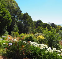 Murrindindi - Accommodation Port Hedland
