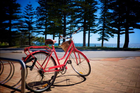 Cottesloe Artist's Beach Retreat - Accommodation Port Hedland 31