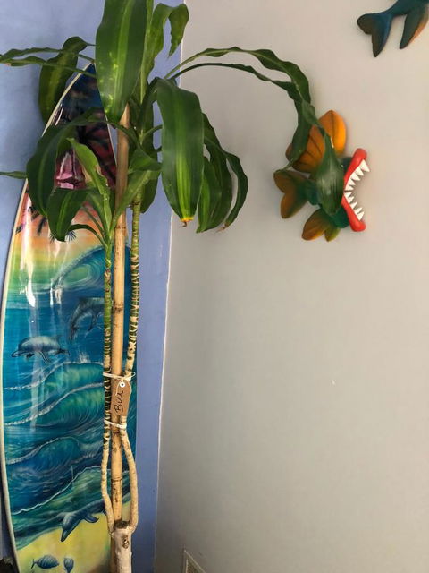 BeachHideaway@Scarborough - Accommodation Port Hedland 28