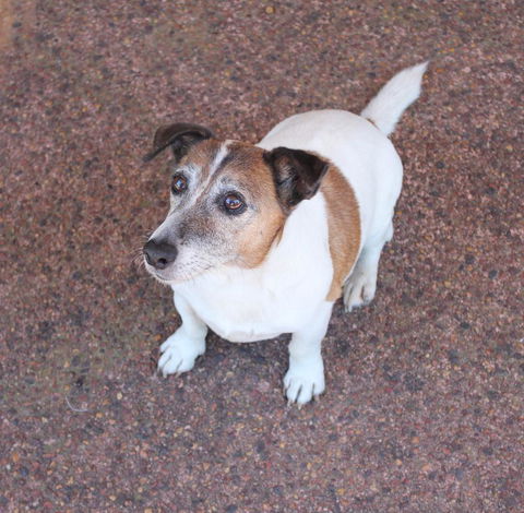 Jacaranda Hideaway Bed & Breakfast - Accommodation Port Hedland 13