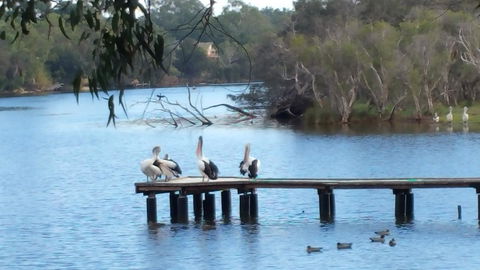 Jacaranda Hideaway Bed & Breakfast - Accommodation Port Hedland 18