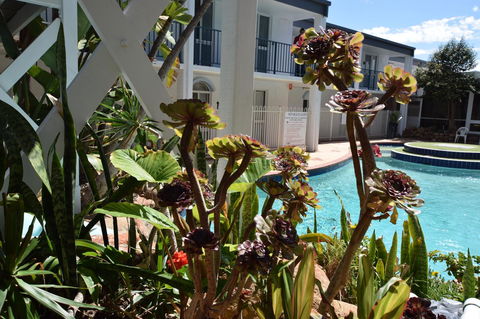 Seashore Memories - Sleeps 3 - Accommodation Port Hedland 14