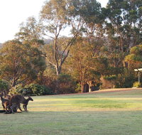Riverside Retreat Chalets Walpole - Accommodation Port Hedland