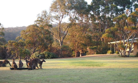 Riverside Retreat Chalets, Walpole - Accommodation Port Hedland 0
