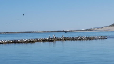 Kalbarri Seaview Villas - Accommodation Port Hedland 33
