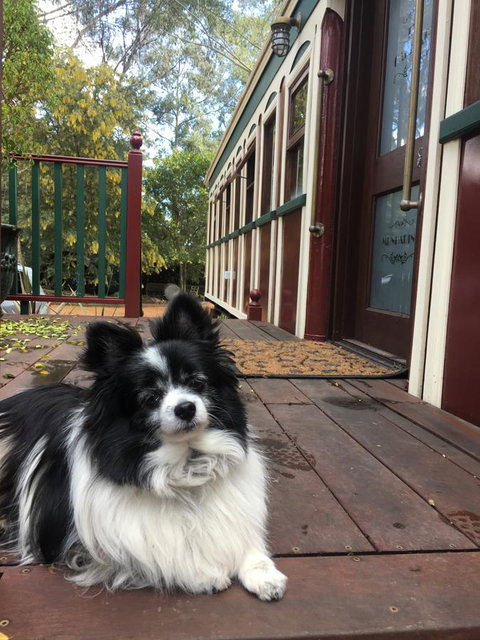 Quiet Escapes Cottages - Accommodation Port Hedland 15