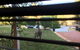 Seatrees Accommodation - thumb 37