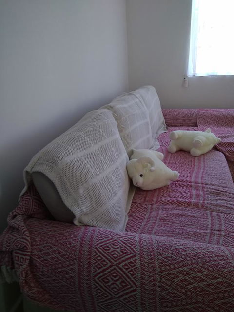 DIANELLA Budget Rooms Happy Place To Stay - Accommodation Port Hedland 29