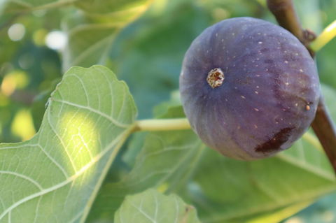 Cockburn Retreat Home æŸæ–¯æ‚ é–’æ°‘å®¿ - Accommodation Port Hedland 25