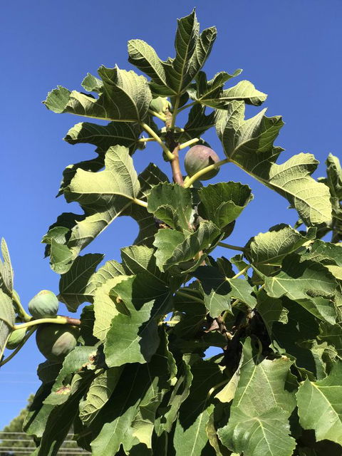 Cockburn Retreat Home æŸæ–¯æ‚ é–’æ°‘å®¿ - Accommodation Port Hedland 24