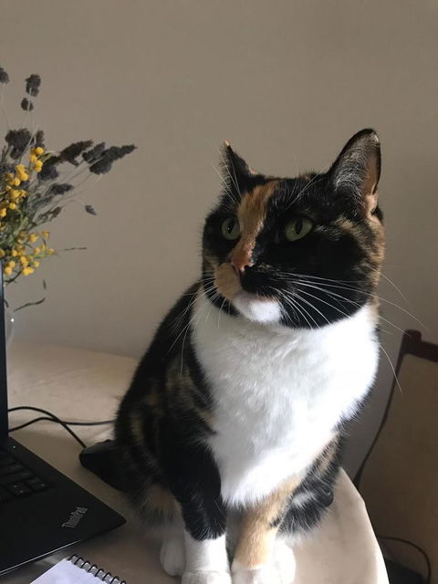 Cockburn Retreat Home æŸæ–¯æ‚ é–’æ°‘å®¿ - Accommodation Port Hedland 29