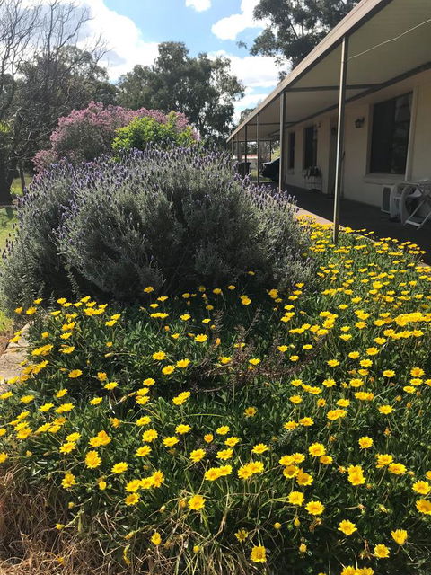 Cockburn Retreat Home æŸæ–¯æ‚ é–’æ°‘å®¿ - Accommodation Port Hedland 3