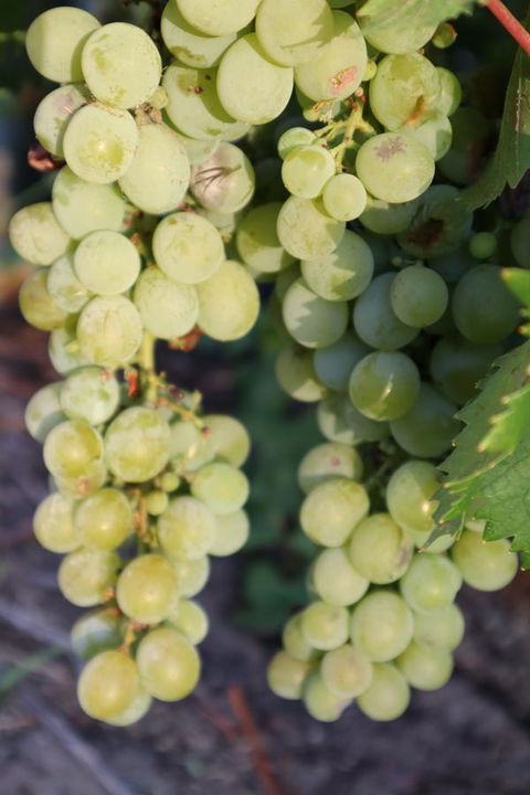 Cockburn Retreat Home æŸæ–¯æ‚ é–’æ°‘å®¿ - Accommodation Port Hedland 26