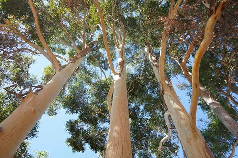 Cockburn Retreat Home æŸæ–¯æ‚ é–’æ°‘å®¿ - Accommodation Port Hedland 19