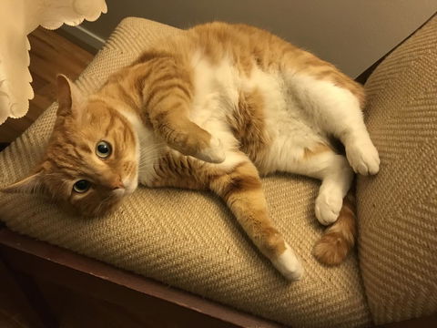 Cockburn Retreat Home æŸæ–¯æ‚ é–’æ°‘å®¿ - Accommodation Port Hedland 28