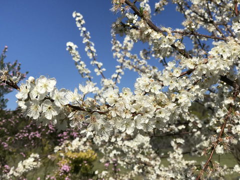 Cockburn Retreat Home æŸæ–¯æ‚ é–’æ°‘å®¿ - Accommodation Port Hedland 27