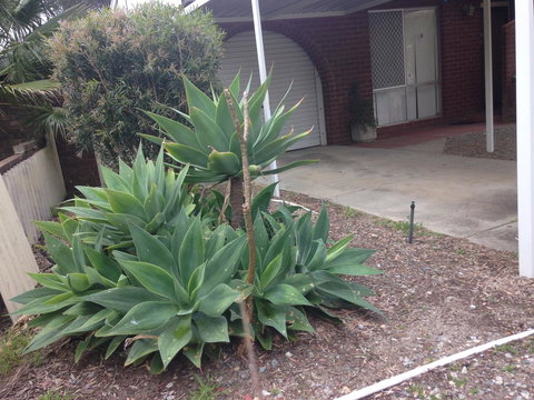 â˜… Stylish Family Home! â˜… - Accommodation Port Hedland 2