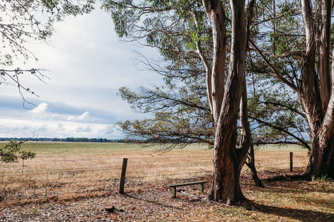 Margaret River Holiday Cottages - Accommodation Port Hedland 22
