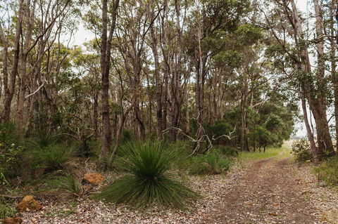 Margaret River Holiday Cottages - Accommodation Port Hedland 31