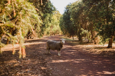 Margaret River Holiday Cottages - Accommodation Port Hedland 21