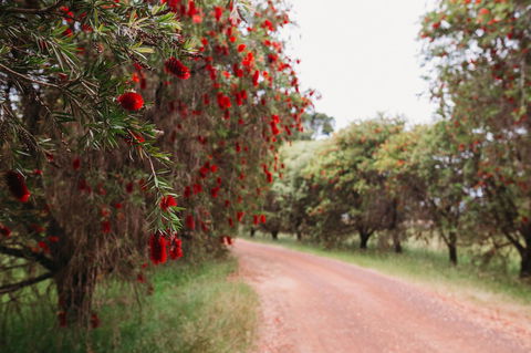 Margaret River Holiday Cottages - Accommodation Port Hedland 17